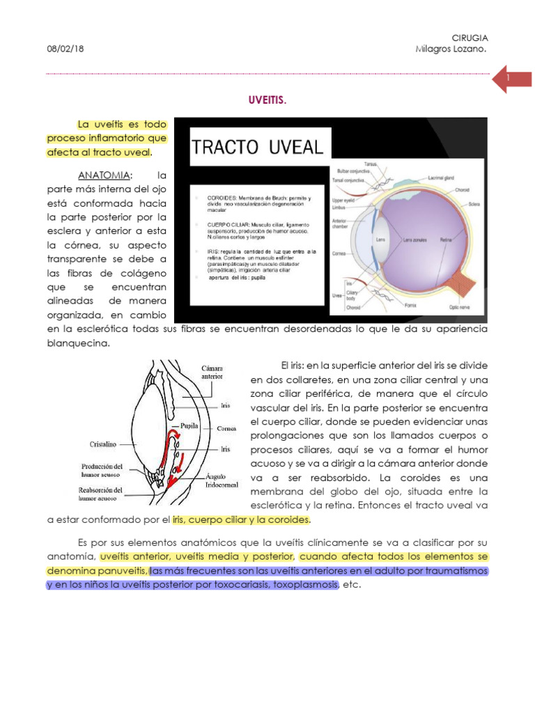 Uveítis y Glaucoma: Diagnóstico y Tratamiento | PDF | Percepción visual ...