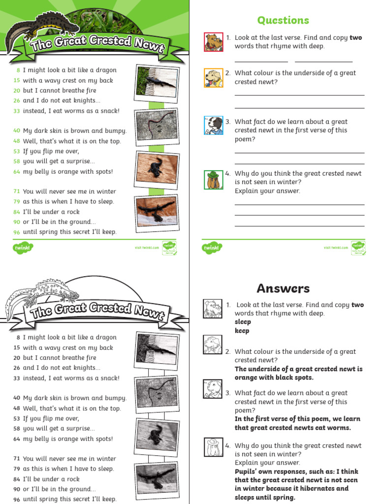 Great Crested Newt: A Poetic Overview | PDF