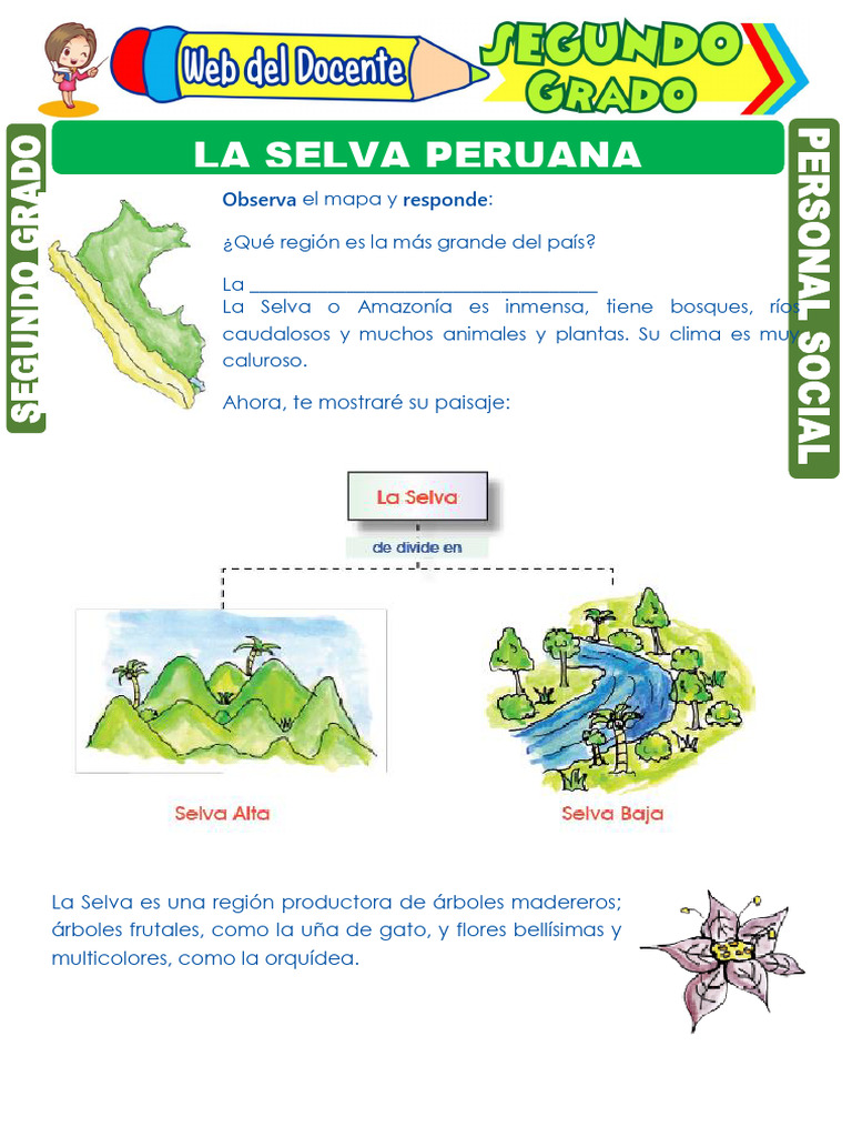 La Selva Peruana para Niños | PDF