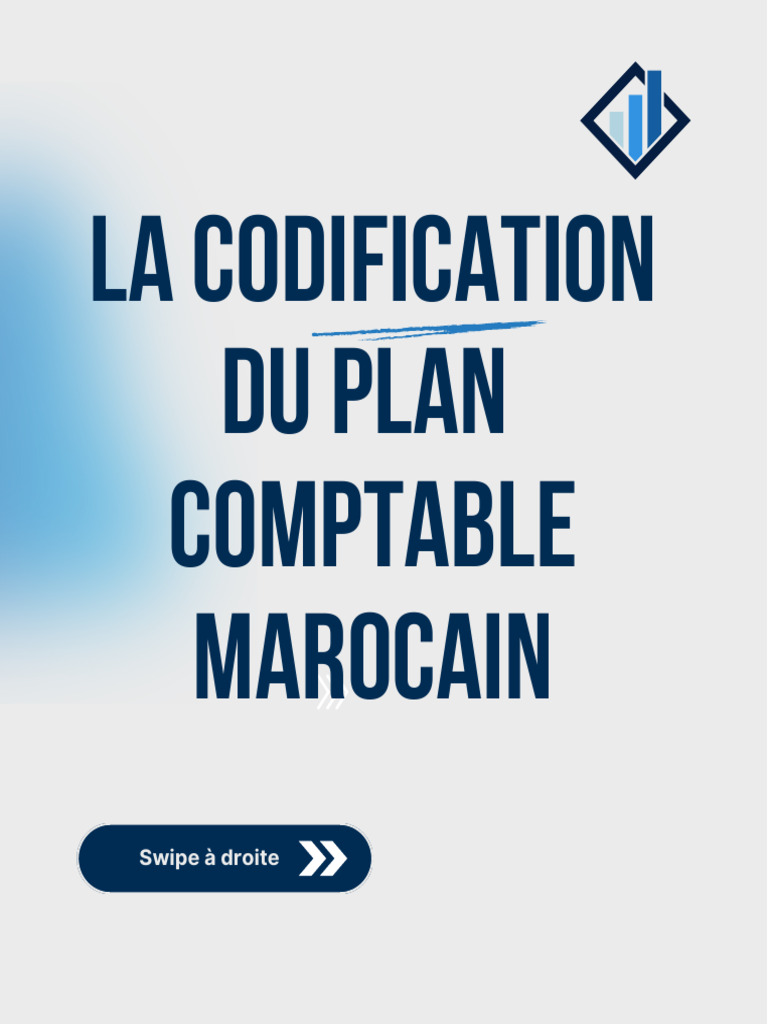 Codification du Plan Comptable Marocain | PDF | Comptabilité financière ...
