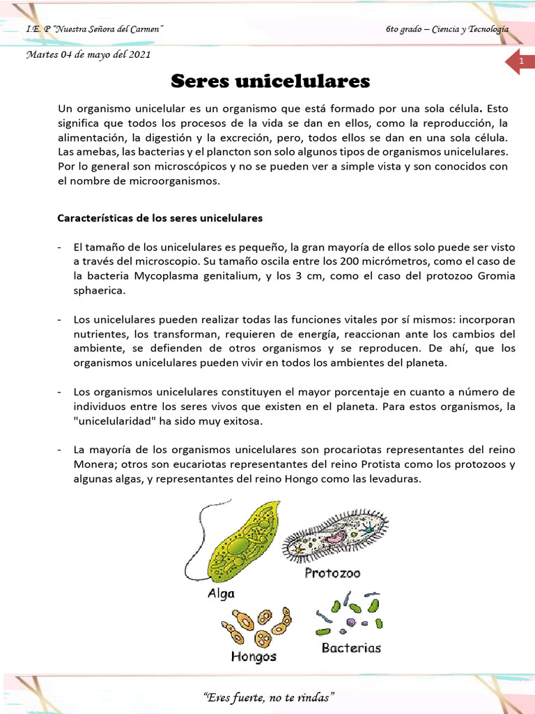 Seres Unicelulares | PDF | Microorganismo | Organismos