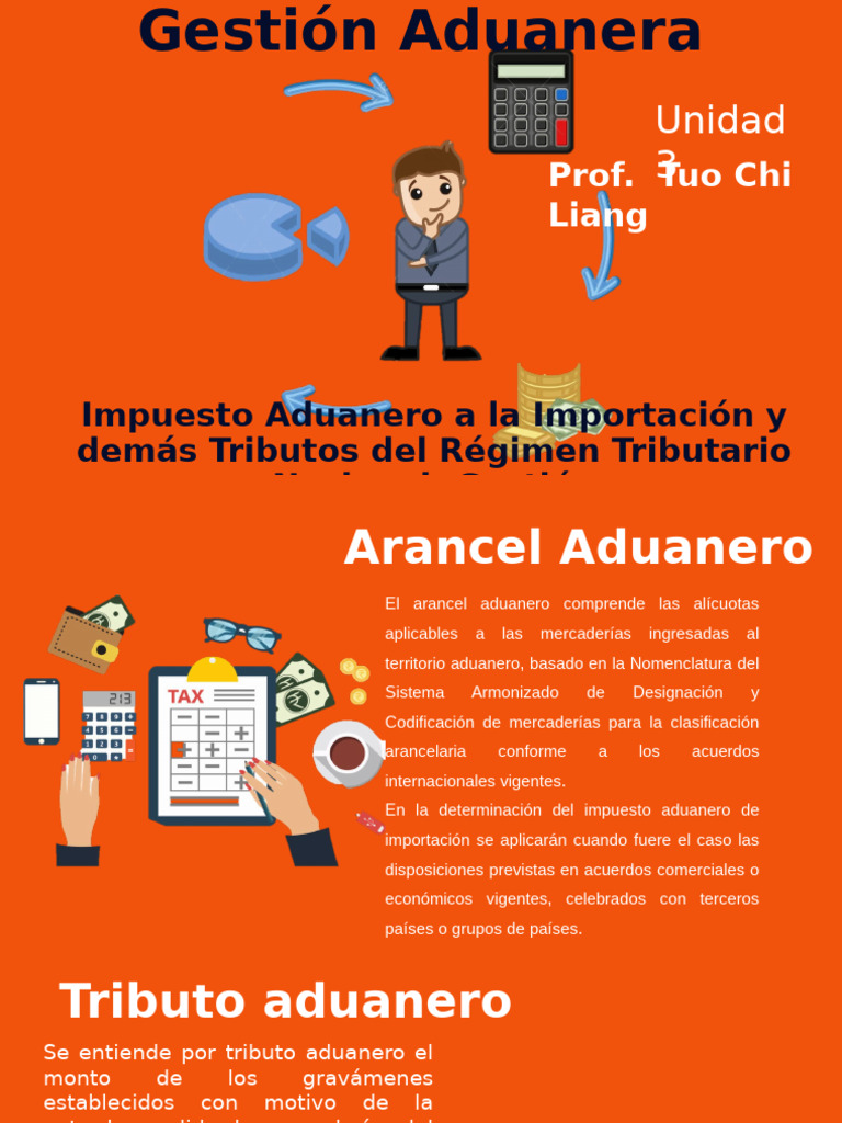 Aranceles y Tributos Aduaneros Importación | PDF | aduana | Arancel