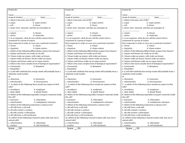 Pretest Worksheet on Levels of Organization and Plant and Animal Cell ...