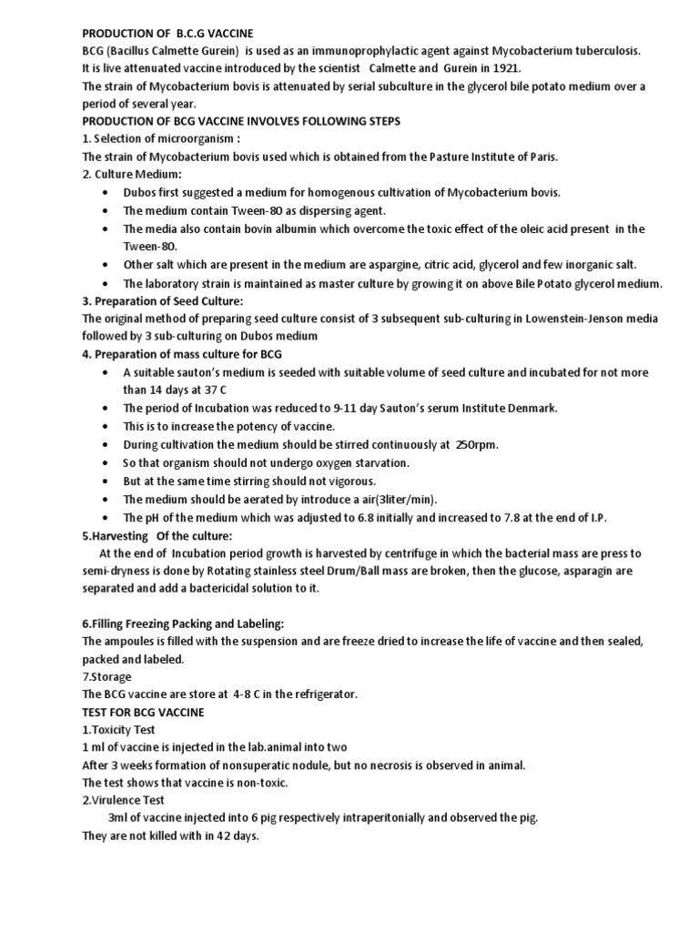 BCG Vaccine Production Process Overview | PDF | Vaccines | Microbiology