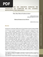 Consolidação do circuito espacial da produção da complem no sul goiano resultados preliminares