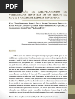 Quantificação de atropelamentos de vertebrados silvestres em um trecho da GO 213 e análise de fatores envolvidos