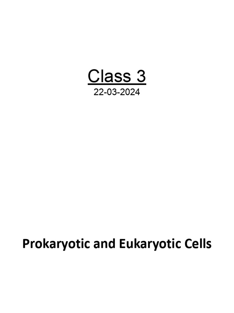Prokaryotic Cell Structure and Functions | PDF | Cell (Biology ...