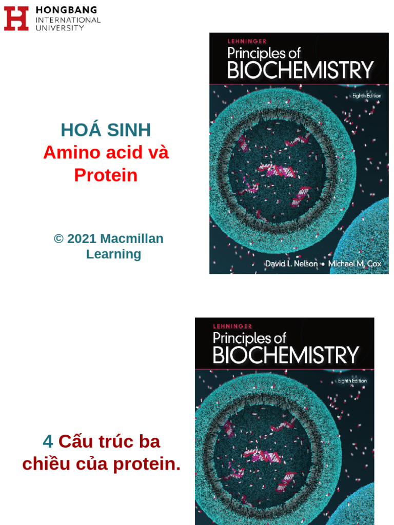 Chapter 04 - 3D Structure of Proteins | PDF