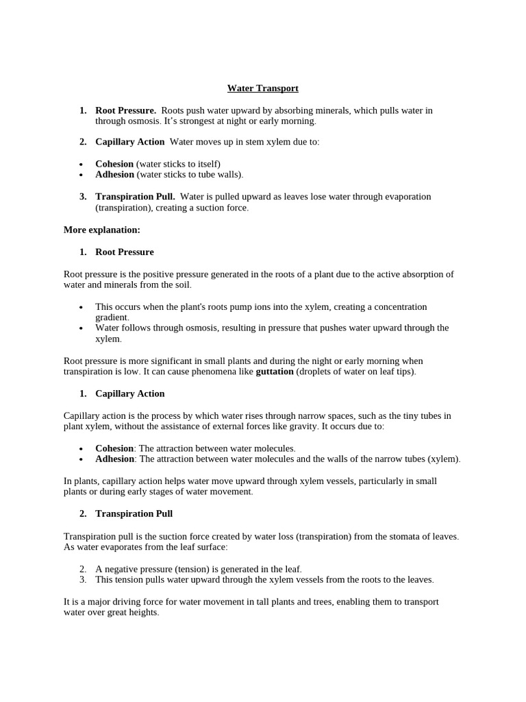 water transport | PDF | Botany | Branches Of Botany