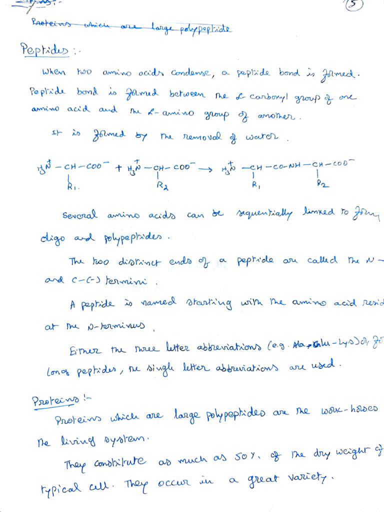 Peptides & Proteins Notes | PDF | Structural Biology | Biochemistry