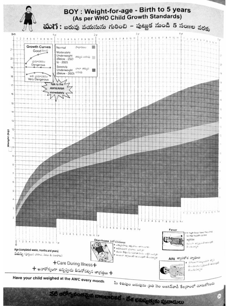 Document 6 | PDF