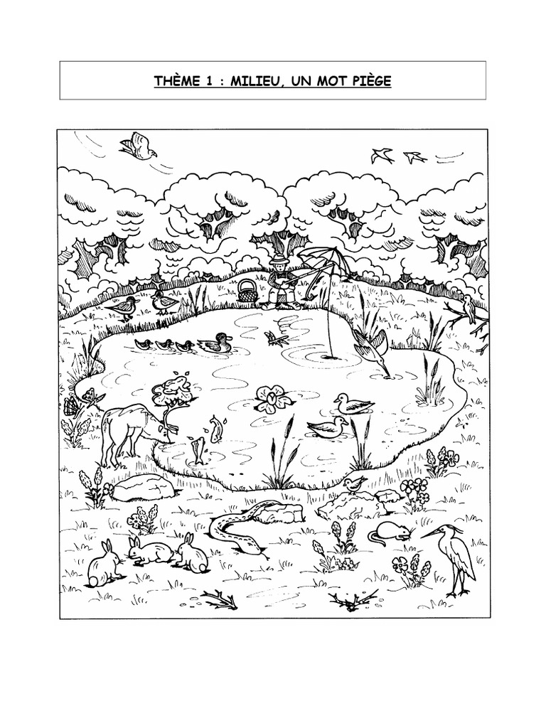 Milieux physiques et caractéristiques vivantes | PDF | Oxygène | Eau