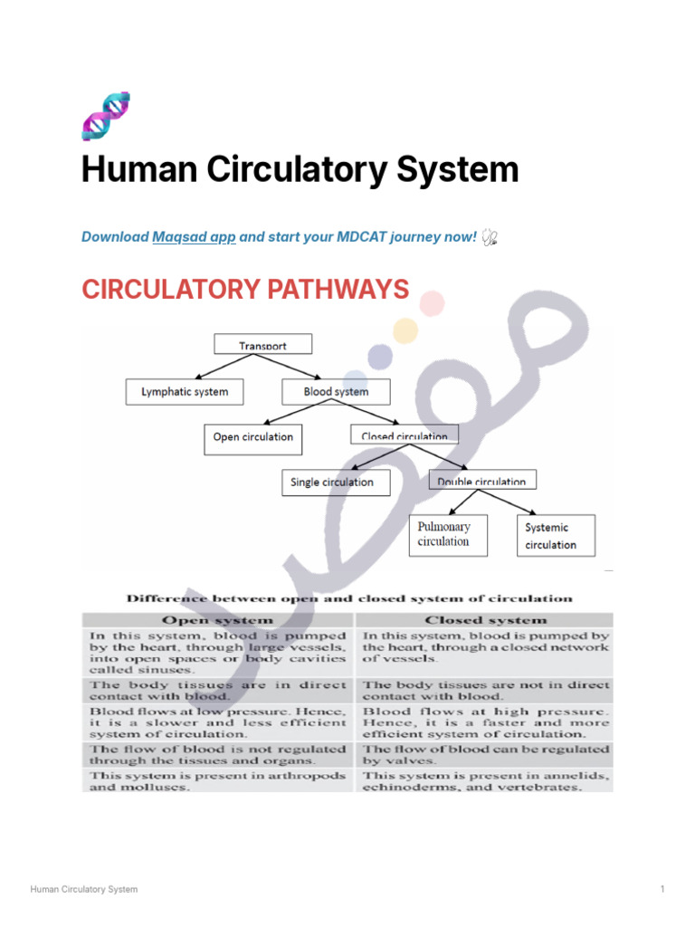 Overview of the Human Circulatory System | PDF | Heart | Heart Valve