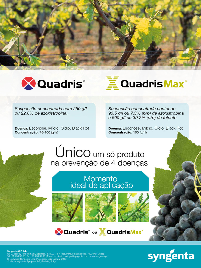 Monofolha Quadris Quadris Max A4 | PDF