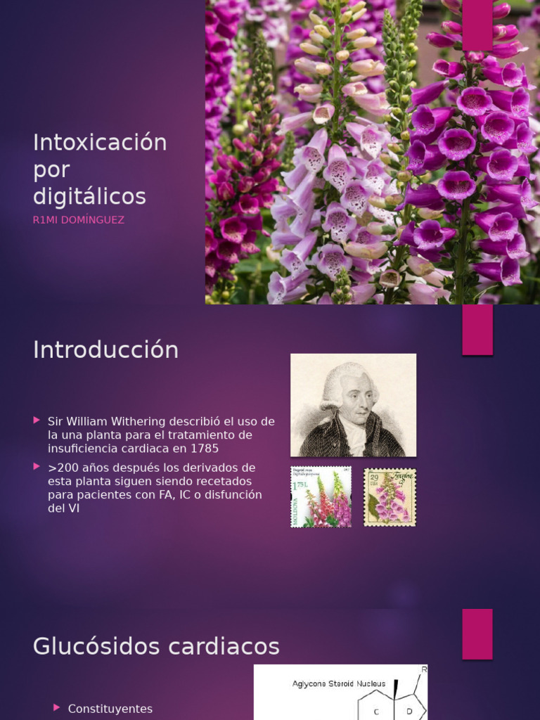 Intoxicación por Digitálicos: Diagnóstico y Manejo | PDF | Cardiología ...