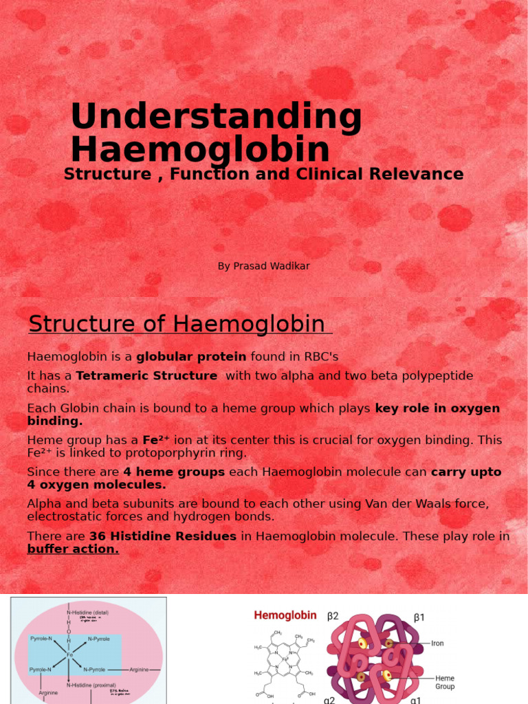 Presentation 2 (1) | PDF | Hemoglobin | Red Blood Cell