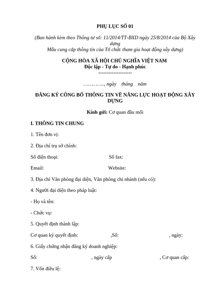Bieu Mau Ke Khai Thong Tin Nang Luc | PDF