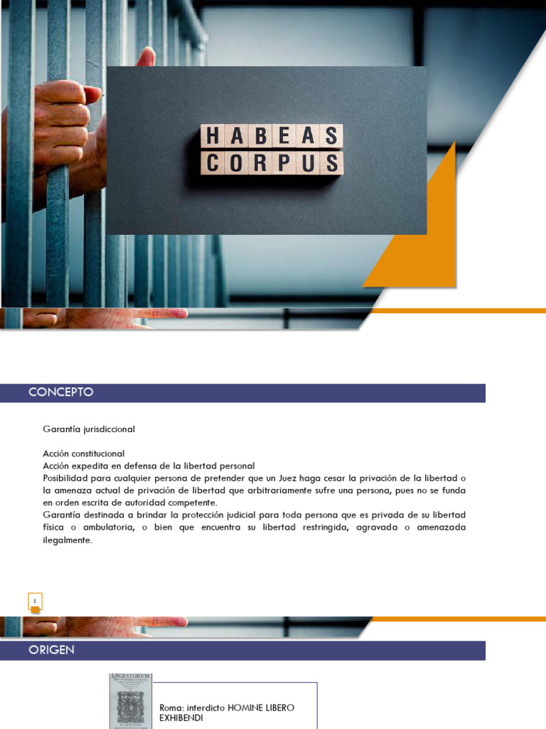 Garantía Jurisdiccional y Hábeas Corpus | PDF | Habeas corpus | Justicia