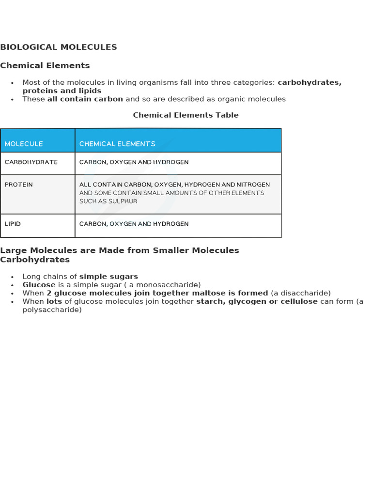 Understanding Biological Molecules and Enzymes | PDF | Enzyme | Active Site