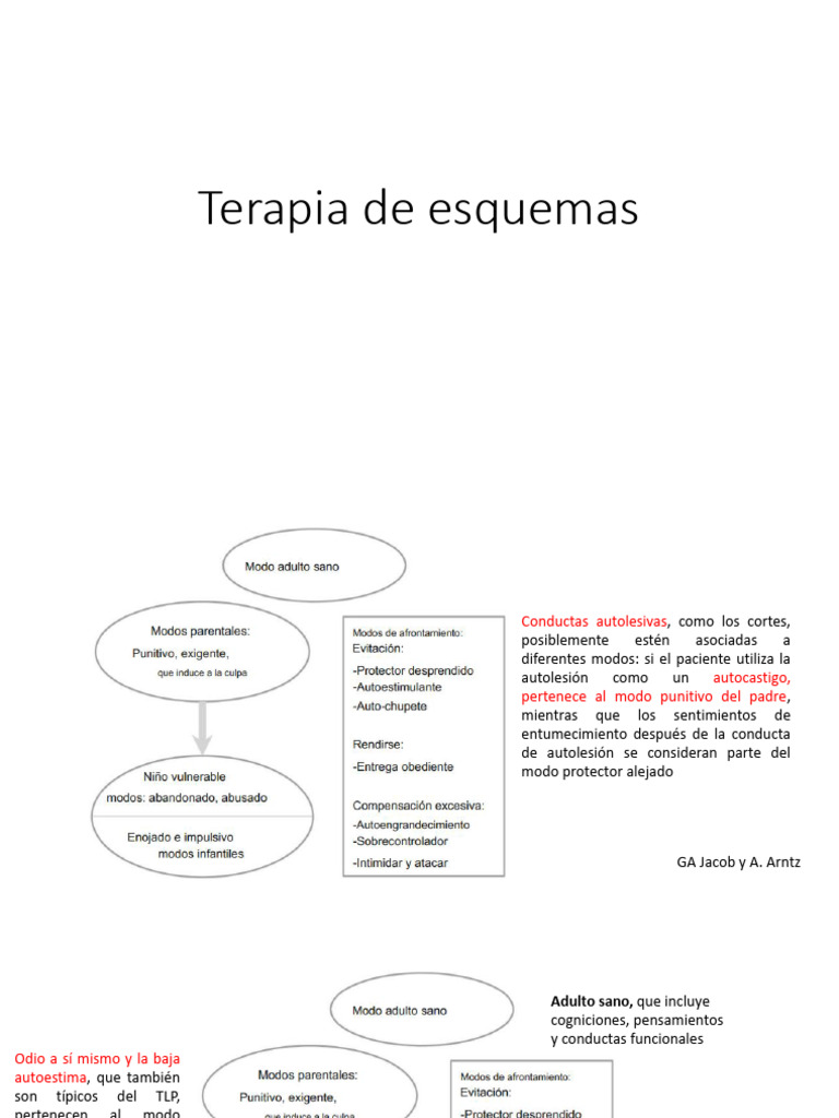 Intervenciones en Terapia de Esquemas | PDF | Las emociones | Autolesiones