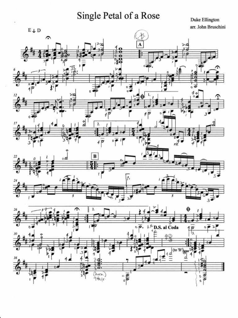 Single Petal of A Rose | PDF