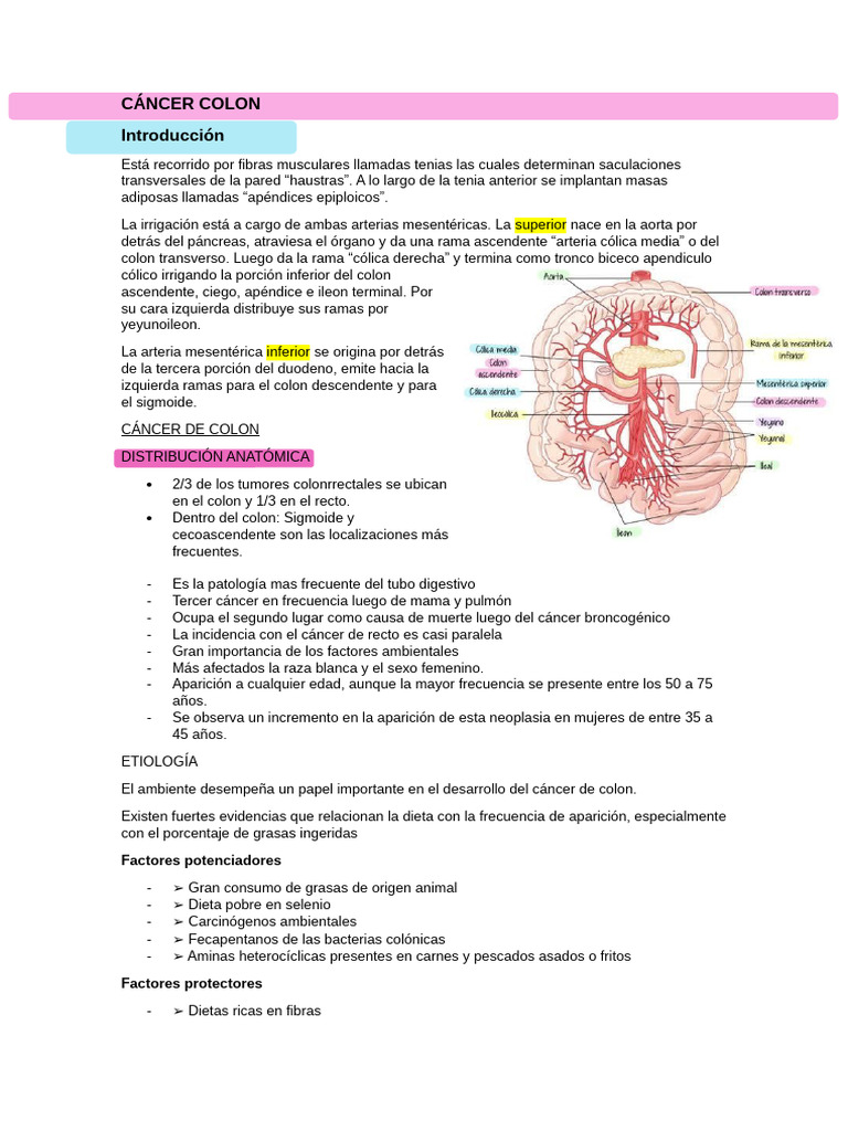 Cáncer de Colon: Etiología y Síntomas | PDF | Cáncer | Intestino grueso