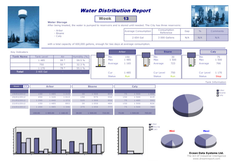 Water Storage and Distribution Report | PDF