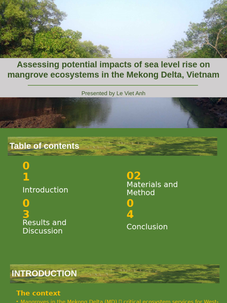 Sea Level Rise Impact on Mekong Mangroves | PDF | Mangrove | Sea Level Rise