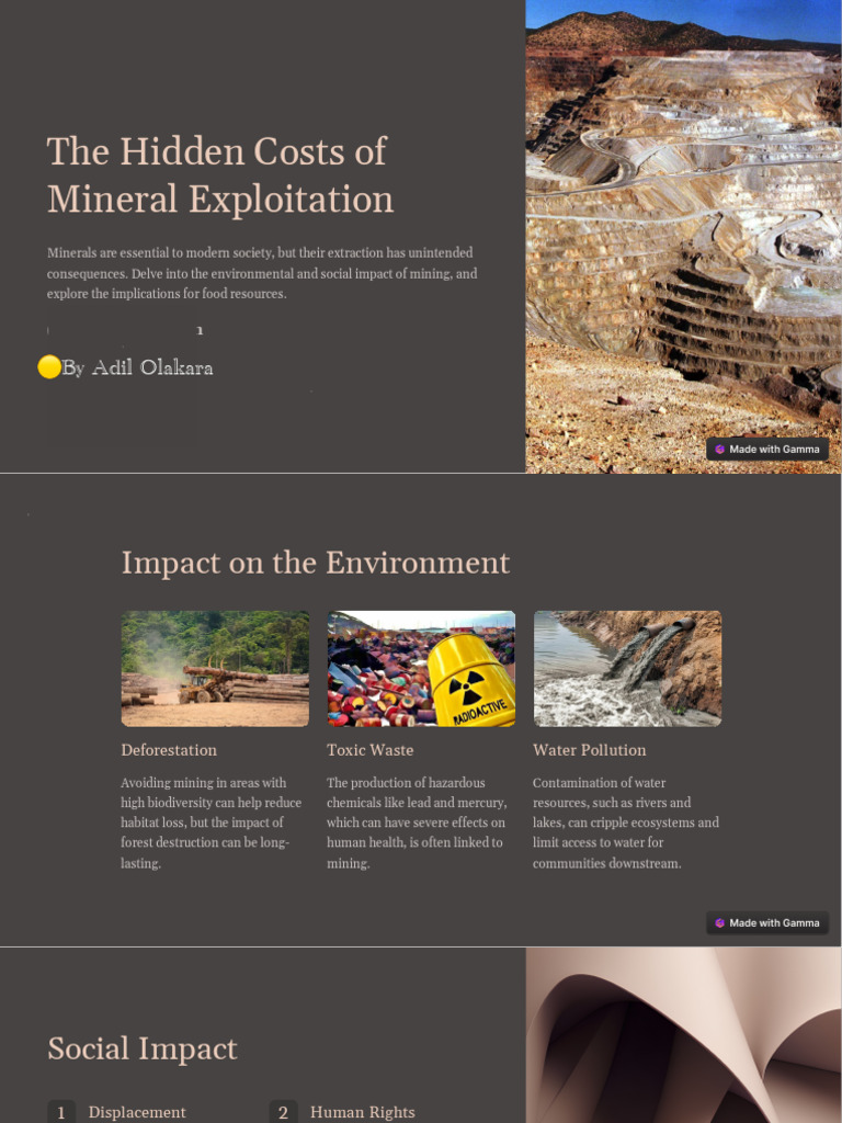 The Hidden Costs of Mineral Exploitation | PDF | Sustainability | Mining