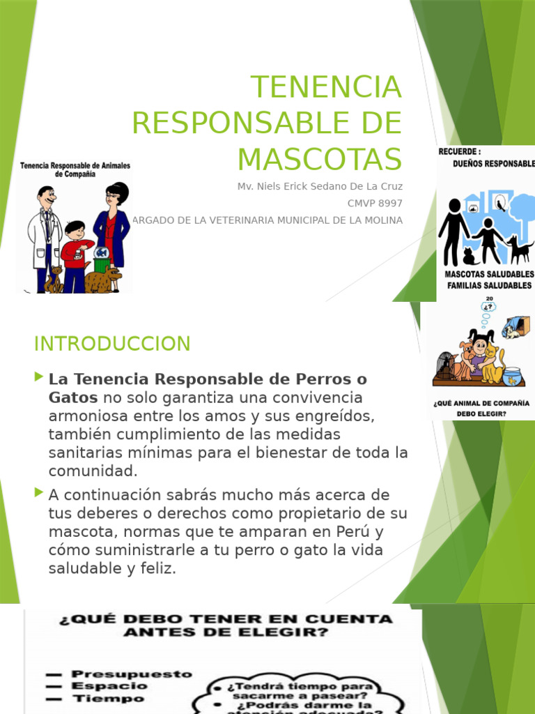 Tenencia Responsable de Mascotas | PDF | Mascota | Animales y humanos