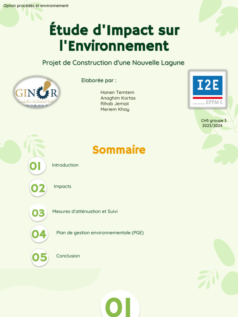 Impact Environnemental du Projet GINOR | PDF | Environnement naturel ...