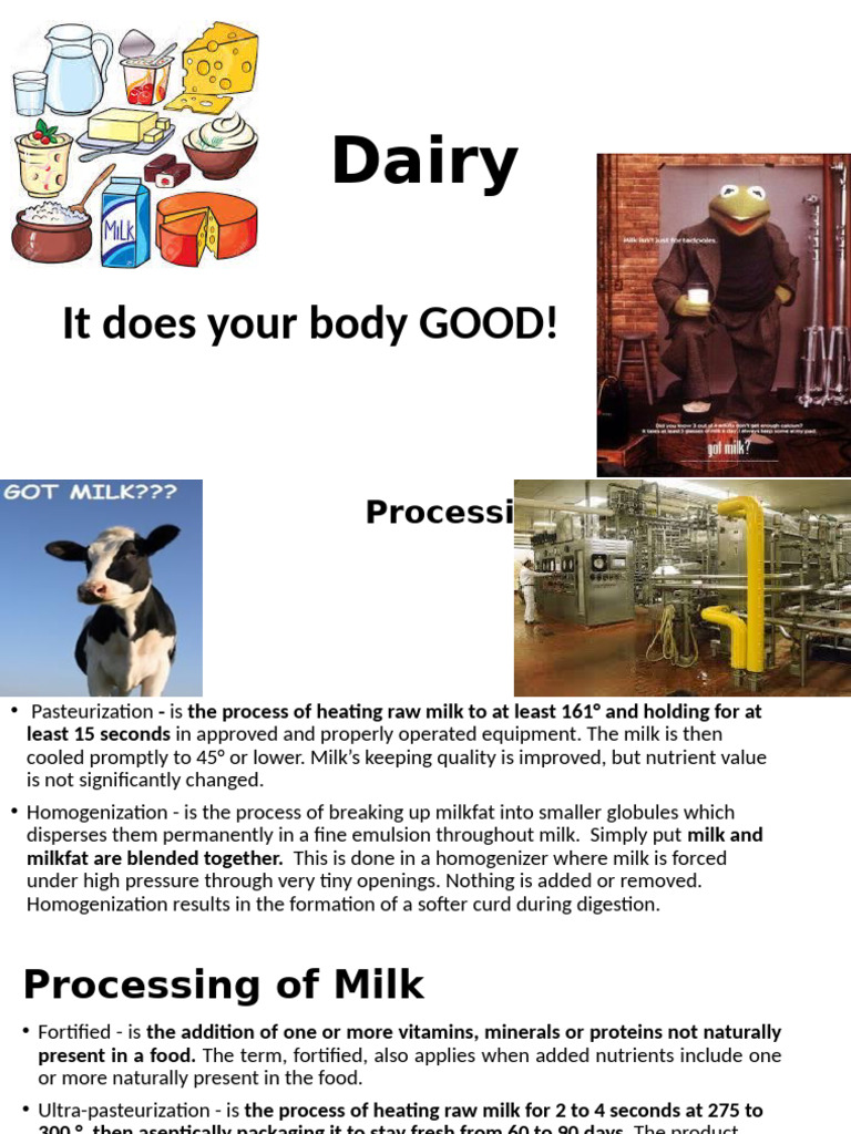 Comprehensive Guide to Milk Processing | PDF | Milk | Soy Milk
