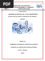Test de Graham y Escobillado Anal | PDF | Parasitología
