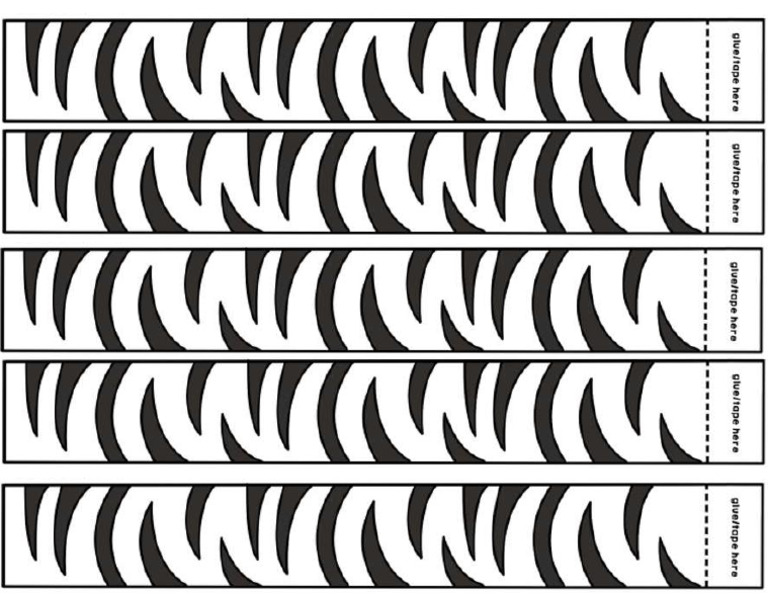 Zebra Stripes | PDF