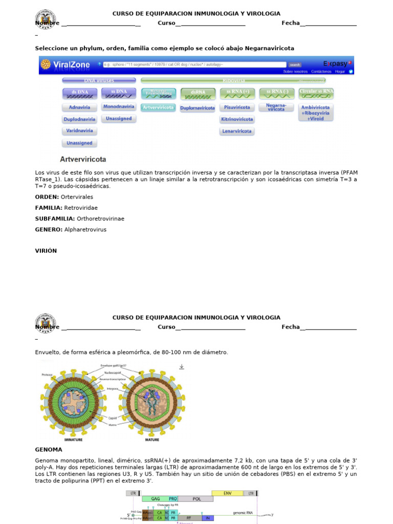 TALLER V Inmunologia y Virologia | PDF | Genoma | La transcriptasa inversa