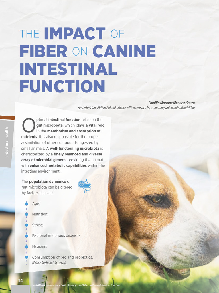 Photo inspiration: Dog Nutrition For Cancer Prevention And Immune System And Gut Reference: Fiber S Role In Canine Gut Health Pdf Dietary Fiber
