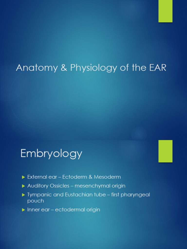 Anatomy & Physiology of The EAR | PDF | Ear | Auditory System