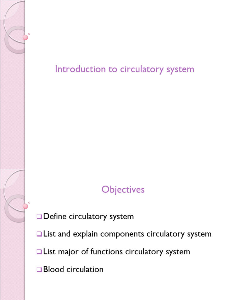 Overview of the Circulatory System | PDF | Circulatory System | Aorta