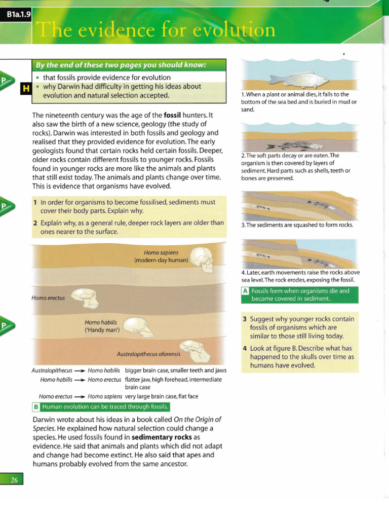 Science18Aug2024 240818 000533 | PDF