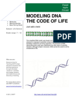 DNA Modelling