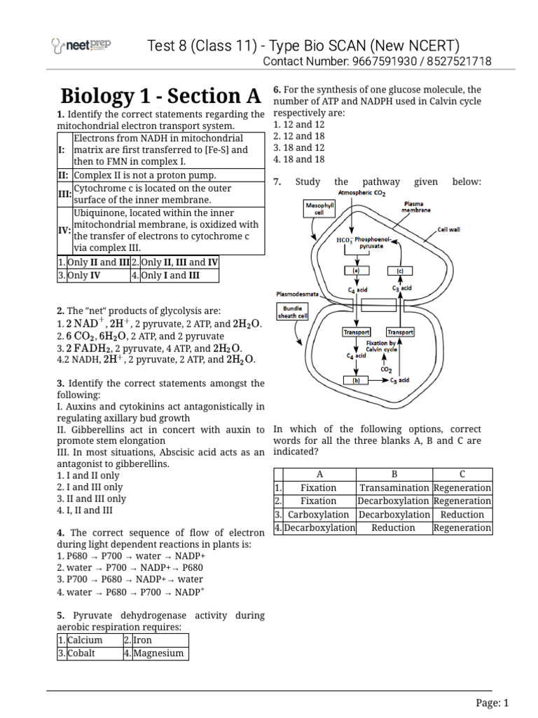 Test 8 (Class 11) - Type Bio SCAN | PDF | Mitochondrion | Adenosine ...