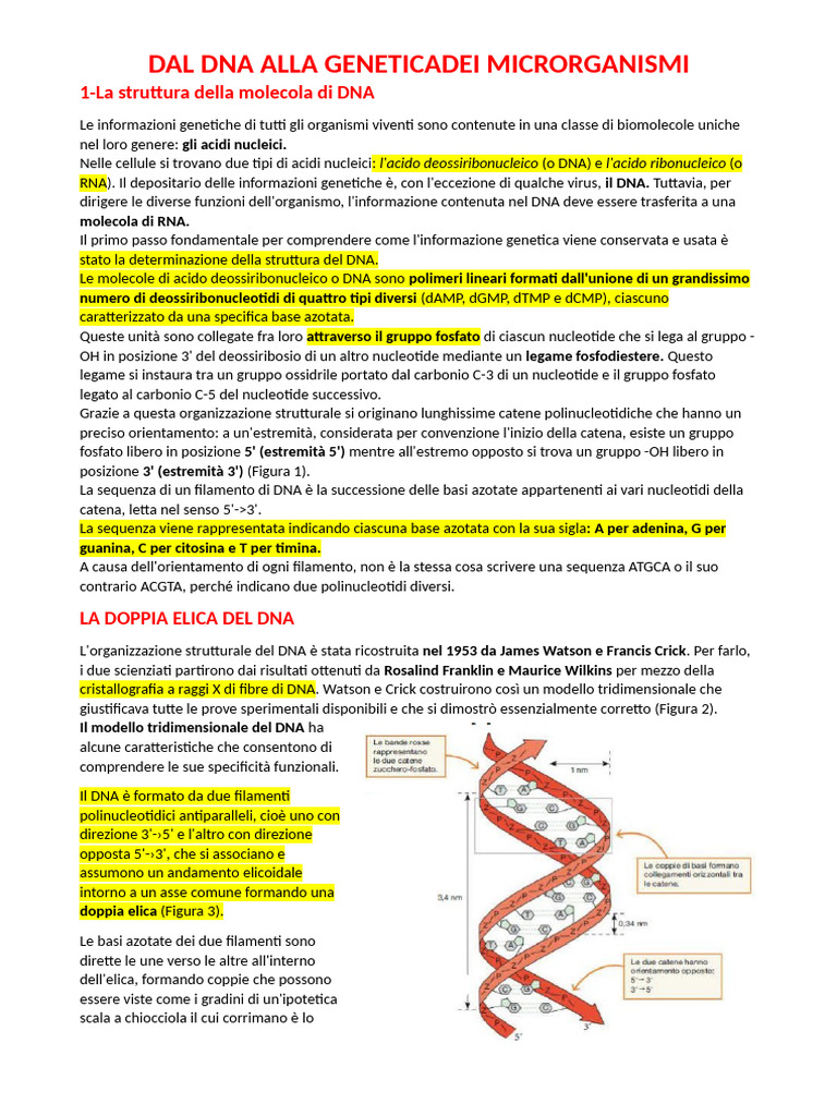 Dal Dna Alla Geneticadei Microrganismi | PDF