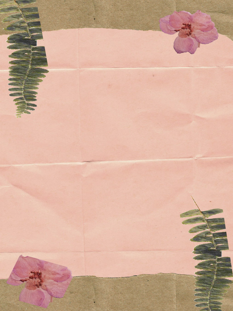 Pink brown vintage blank template instagram story pdf