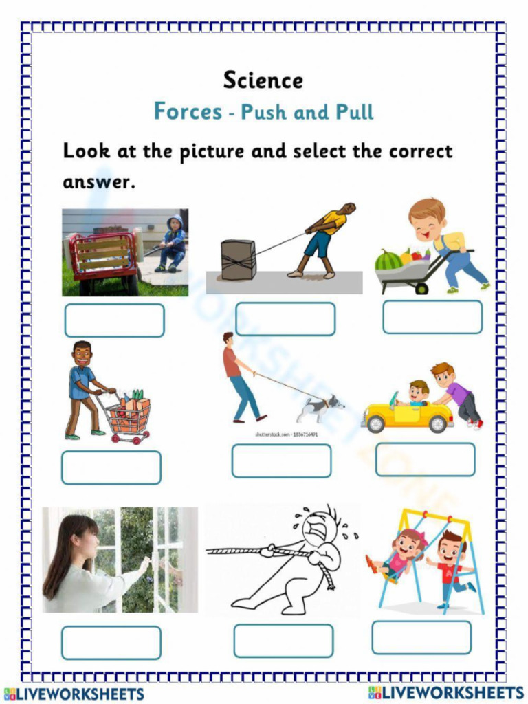 Push and Pull Forces | PDF