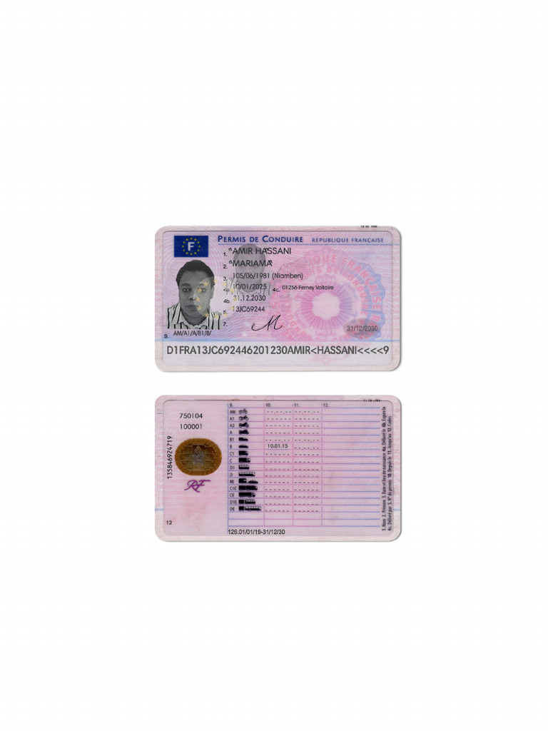 Permis FR | PDF