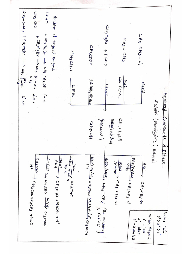 Xii Chemistry Organic Reaction Chart 2025 PDF