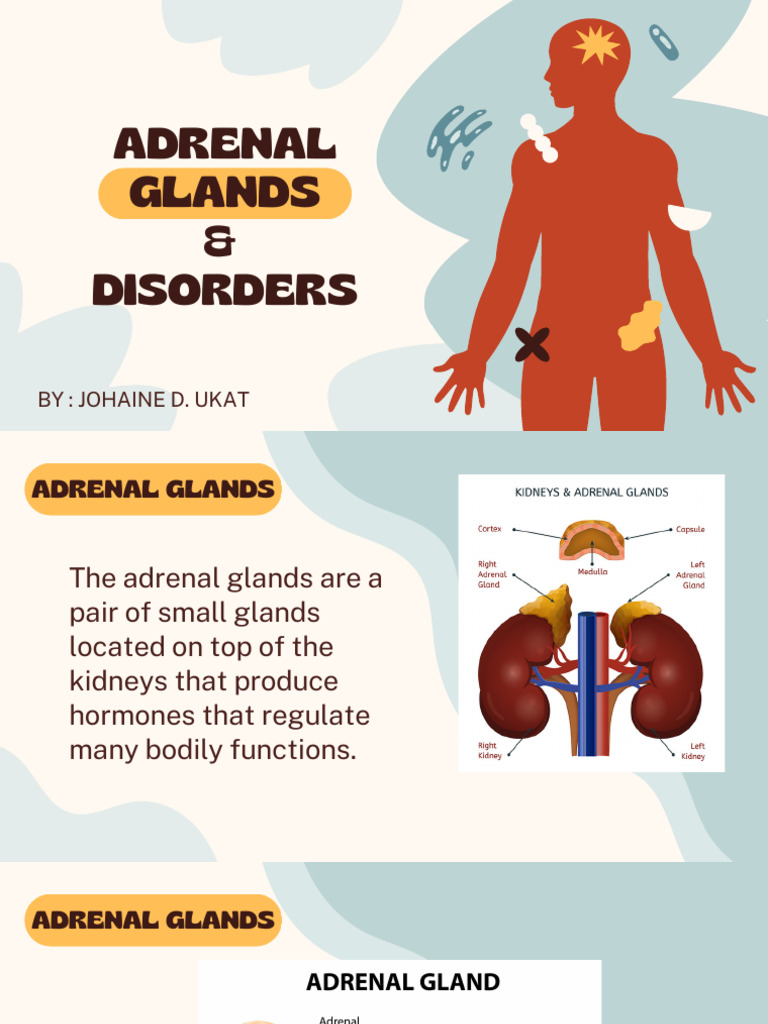 The-Role-of-Hormones-in-the-Human-Body-Education-Presentation-in-Beige ...
