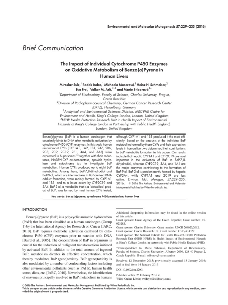 The Impact of Individual Cytochrome P450 Enzymes - 2016. | PDF ...