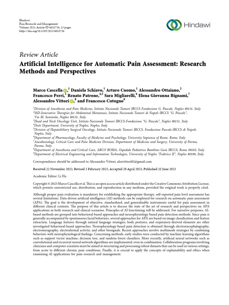 Picture Idea: Artificial Intelligence For Automatic Pain Assessment Research