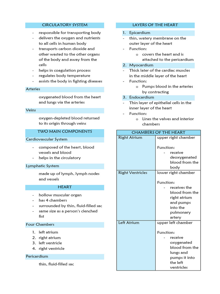 Overview of the Human Circulatory System | PDF | Heart | Heart Valve